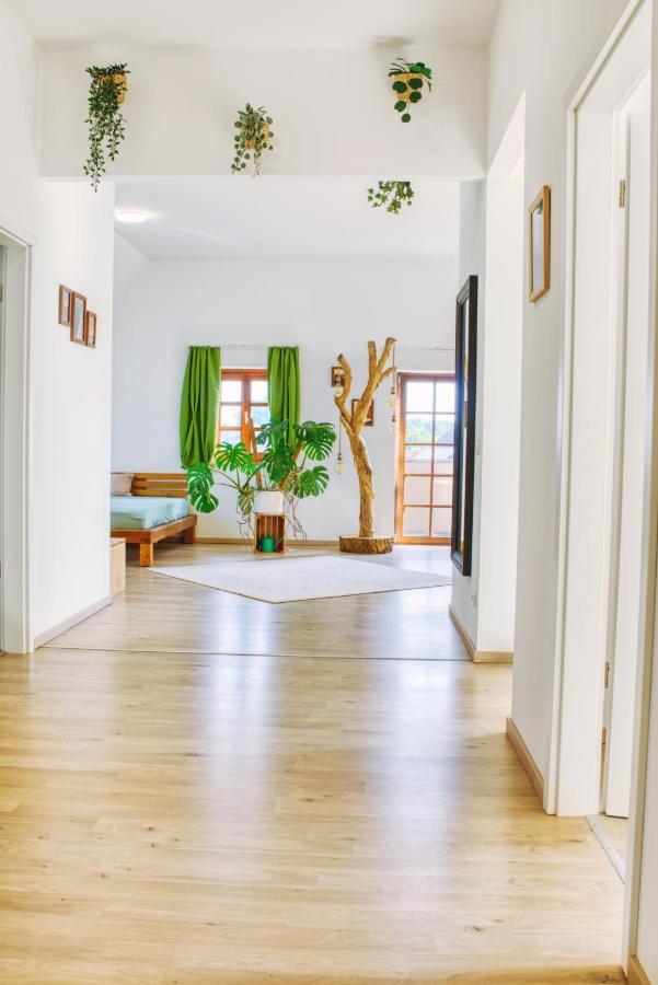 Luxus Apartment! Kueche, Balkon, Netflix, Parkplatz - 8 Personen Ilmmunster 외부 사진