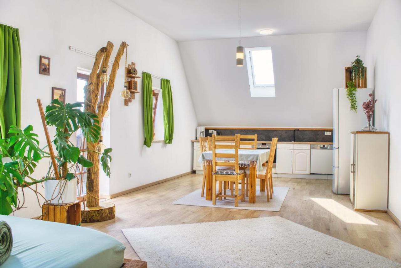 Luxus Apartment! Kueche, Balkon, Netflix, Parkplatz - 8 Personen Ilmmunster 외부 사진